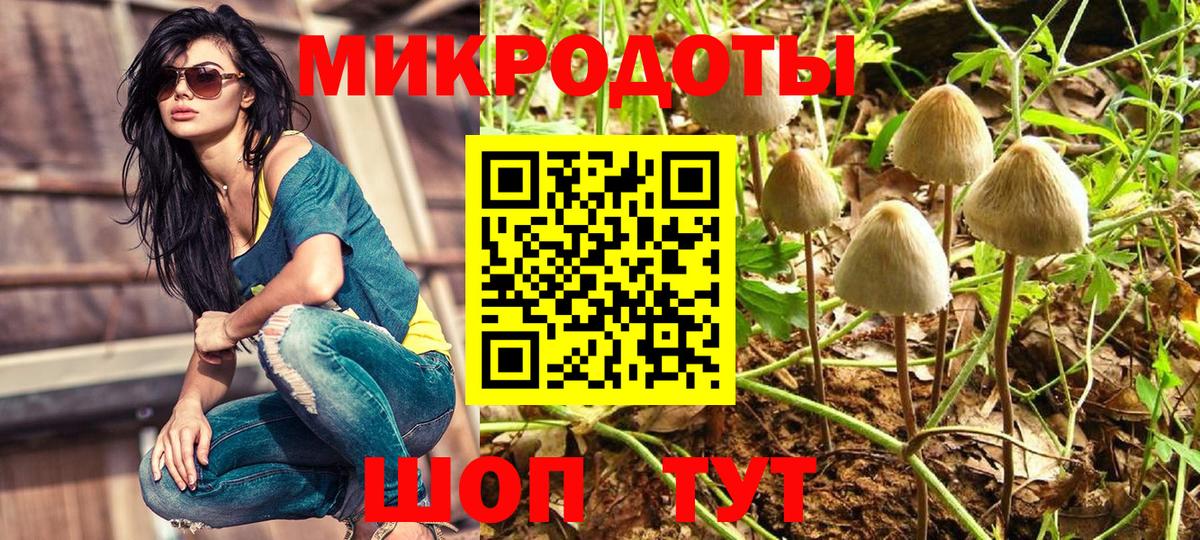 Псилоцибиновые грибы ЛСД Кубинка