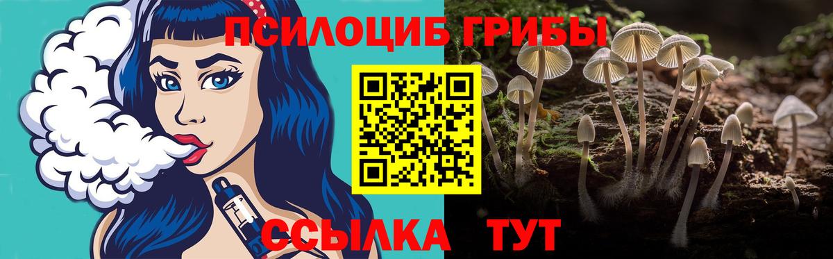 Кубинка  Галлюциногенные грибы мухоморы  Вход с VPN  Галлюциногенные грибы Psilocybe 